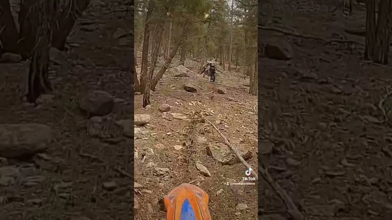 Another steep hill climb while buddy does a pivot turn!