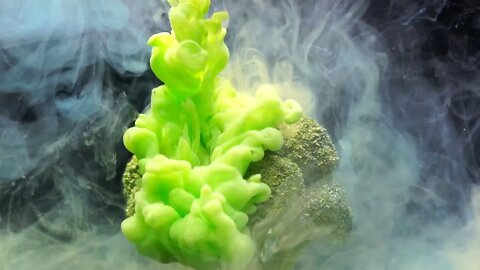 GLOBAL VEGAN-GREEN GROWTH CAN STOP THE DESTRUCTION of EARTH -TERRAFORM ALIEN WORLDS AS EARTH-LIKE
