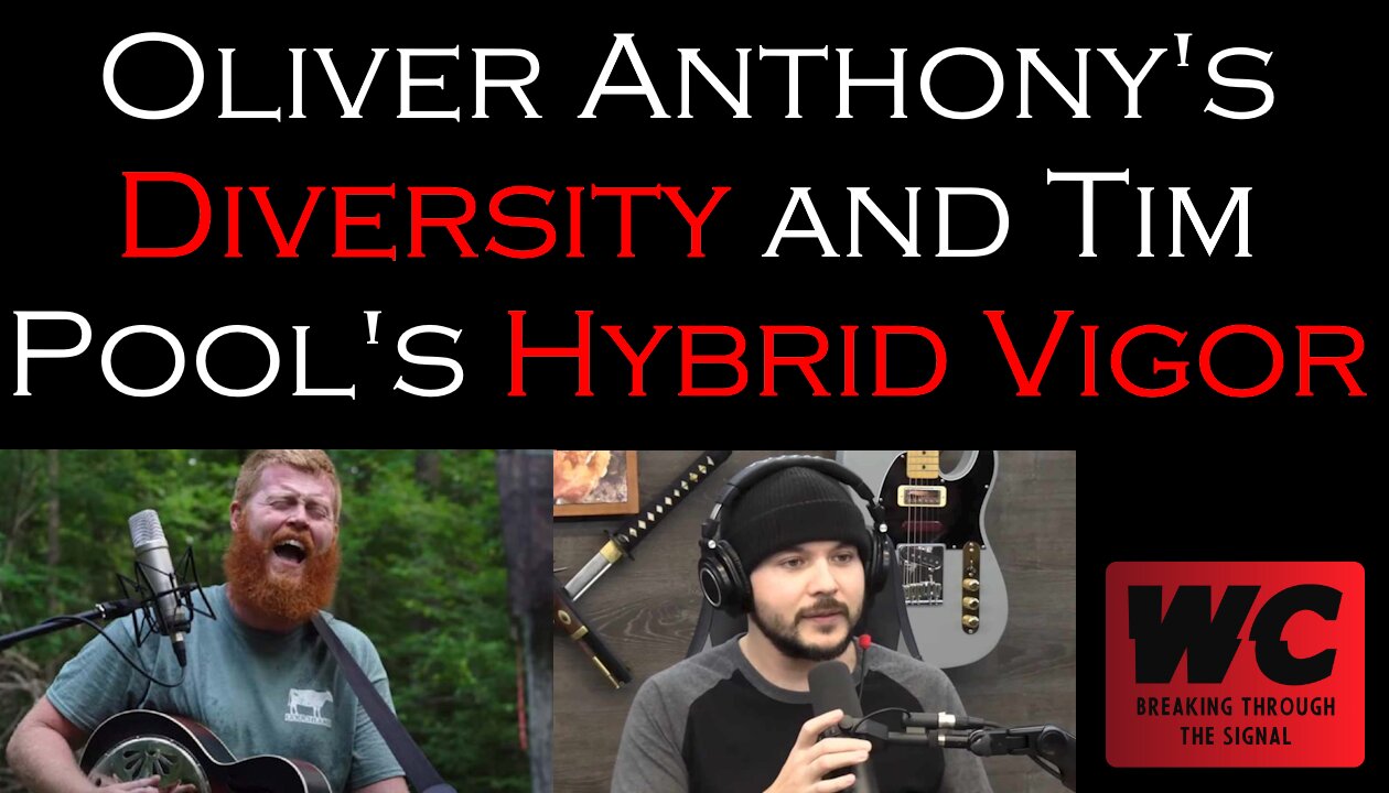 Oliver Anthony's Diversity and Tim Pool's Hybrid Vigor