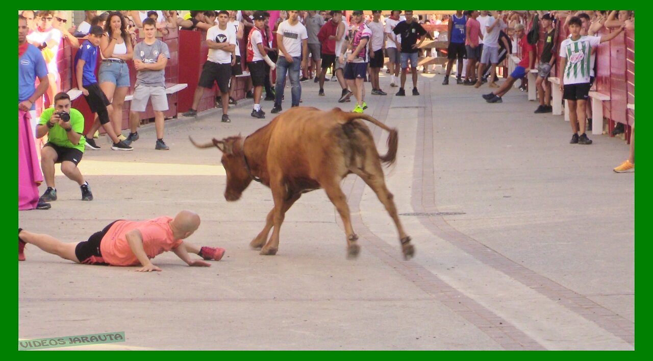 CADREITA ( NAVARRA ) TARDE VACAS EN CALLE ( MIERCOLES 19 JULIO 2023 ) GANAD.EULOGIO