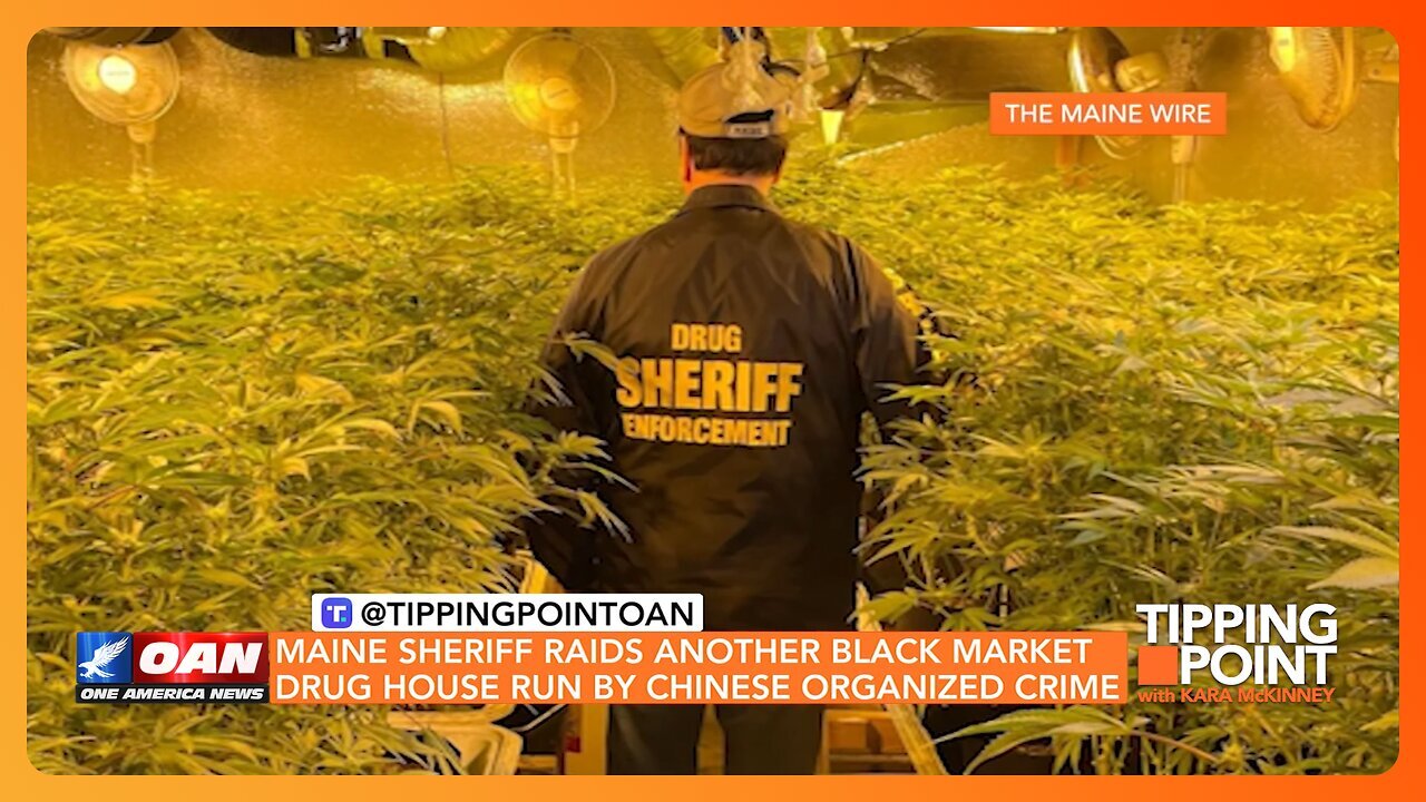 Exposing Chinese Organized Crime Rings Operating in Maine | TIPPING POINT