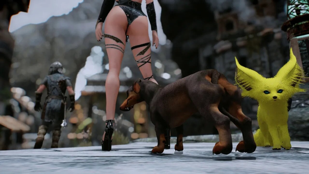 Skyrim SE Doxie Dovahkiin - Dachshund Follower LE/SE