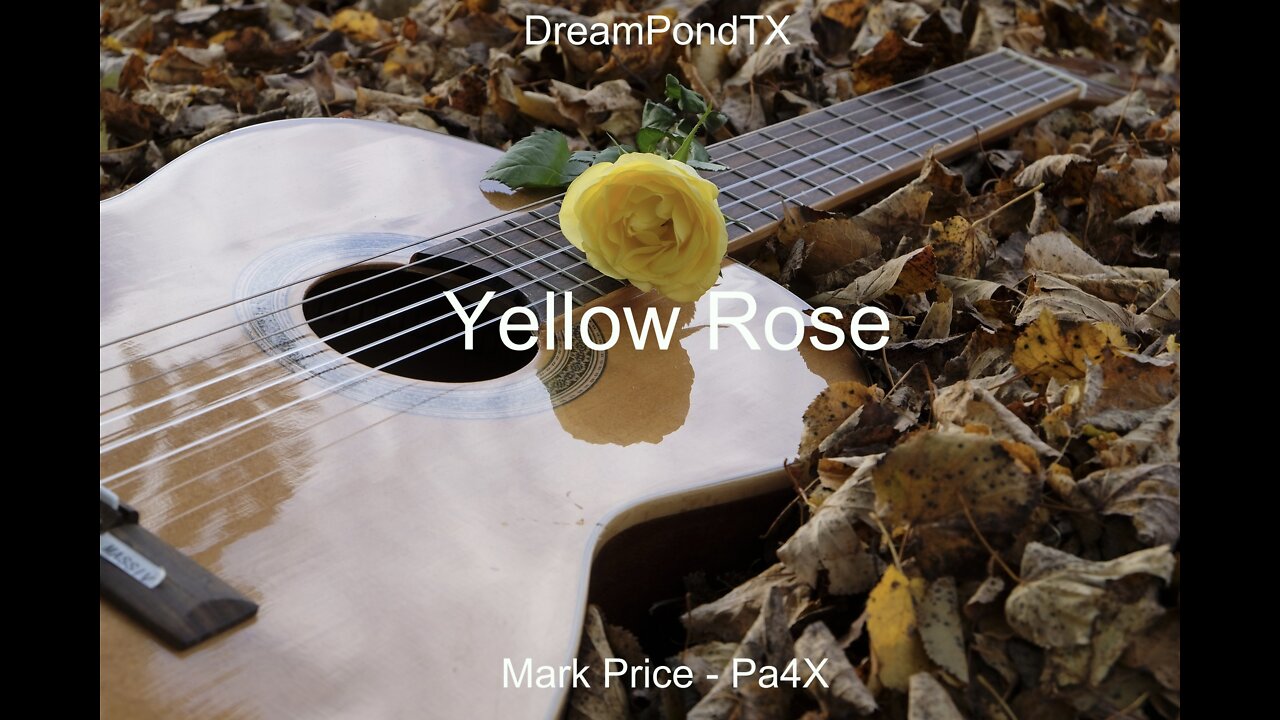 DreamPondTX/Mark Price - Yellow Rose Of Texas (Pa4X at the Pond, PP)