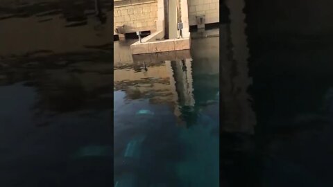 water games in dubai