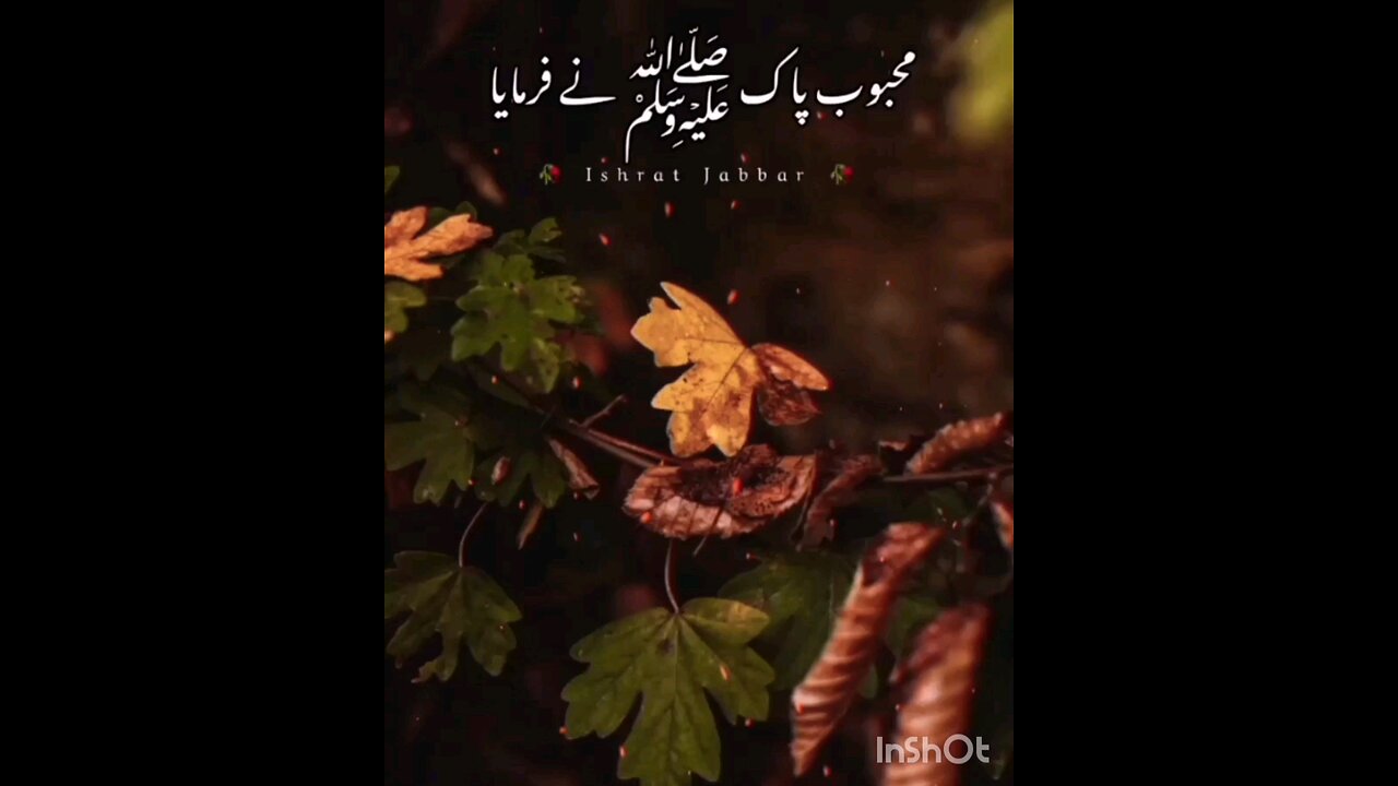Islamic videos #islamicstatus