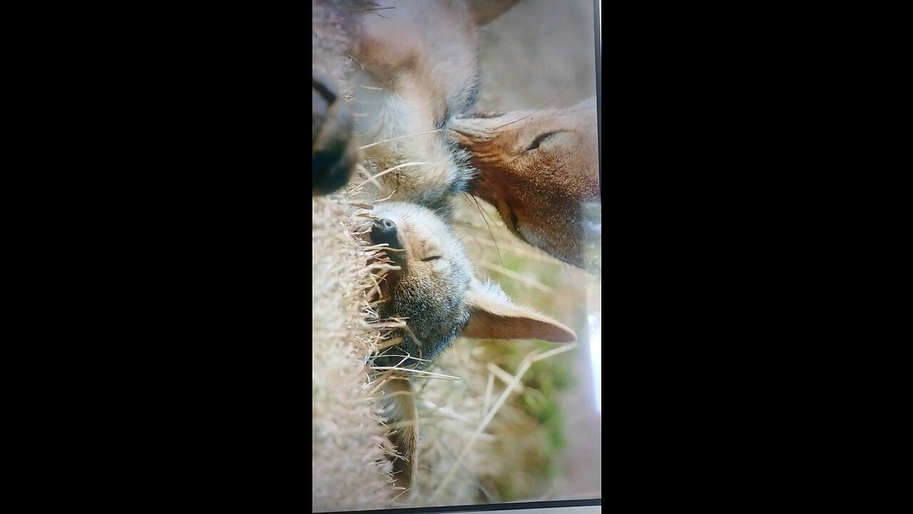 Mama Reviving her Baby