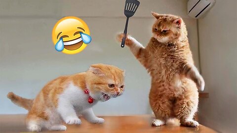 You Laugh You Lose || Funniest Cats and Dogs 2024