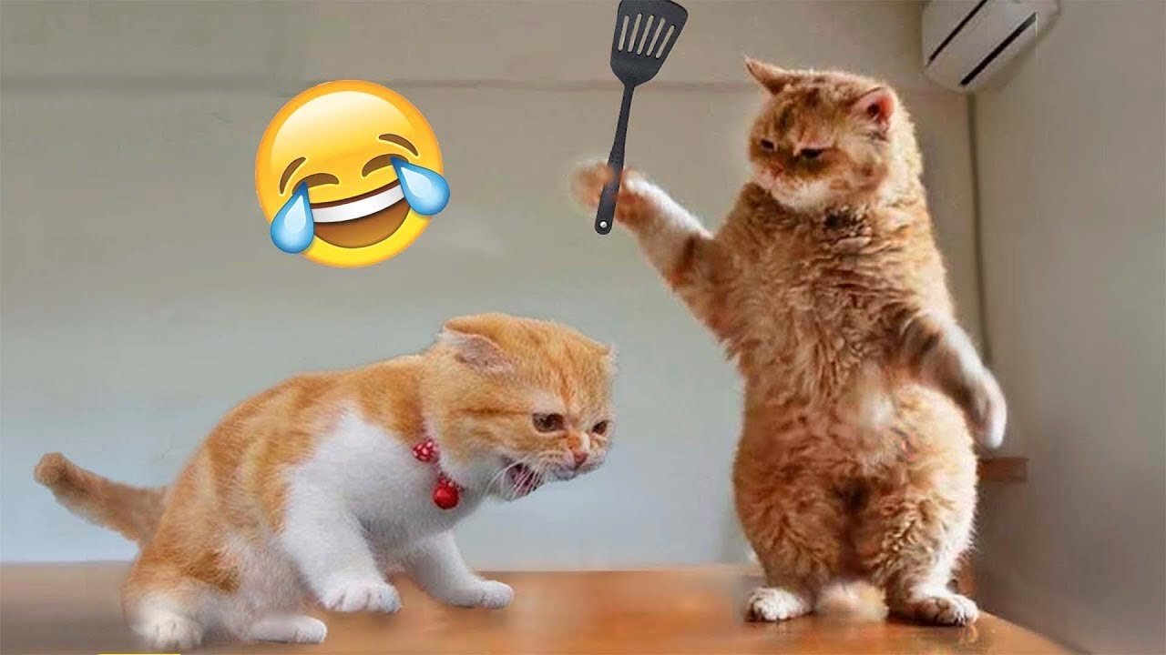 You Laugh You Lose || Funniest Cats and Dogs 2024