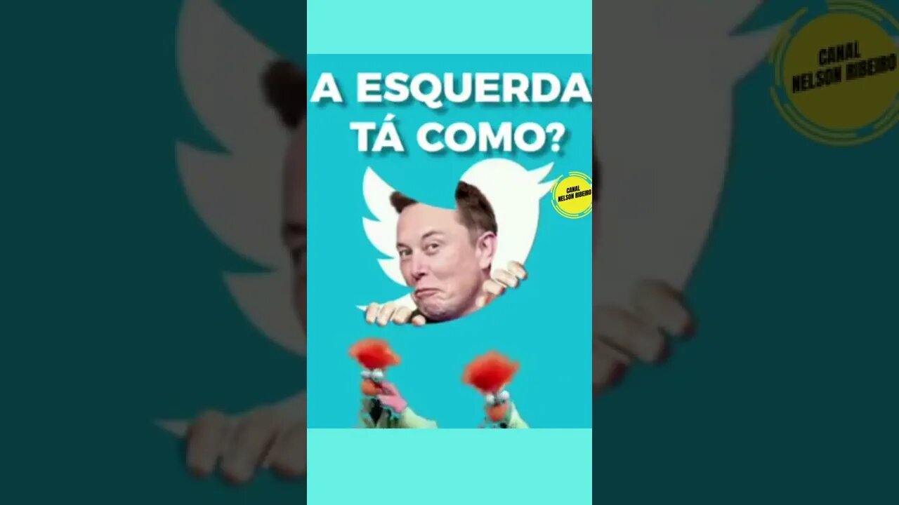 Elon Musk nadando nas lágrimas da esquerda mundial! #short