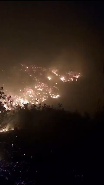 Forest fire in the Deir Osman region, in the Darkush region, west of Idlib, Syria #syria #forestfire