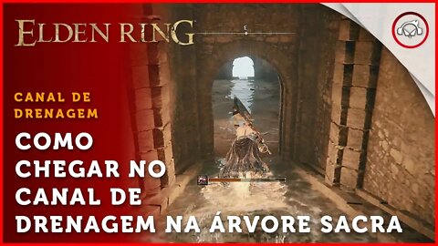 Elden Ring, Como chegar no Canal de Drenagem da Árvore Sacra | super dica