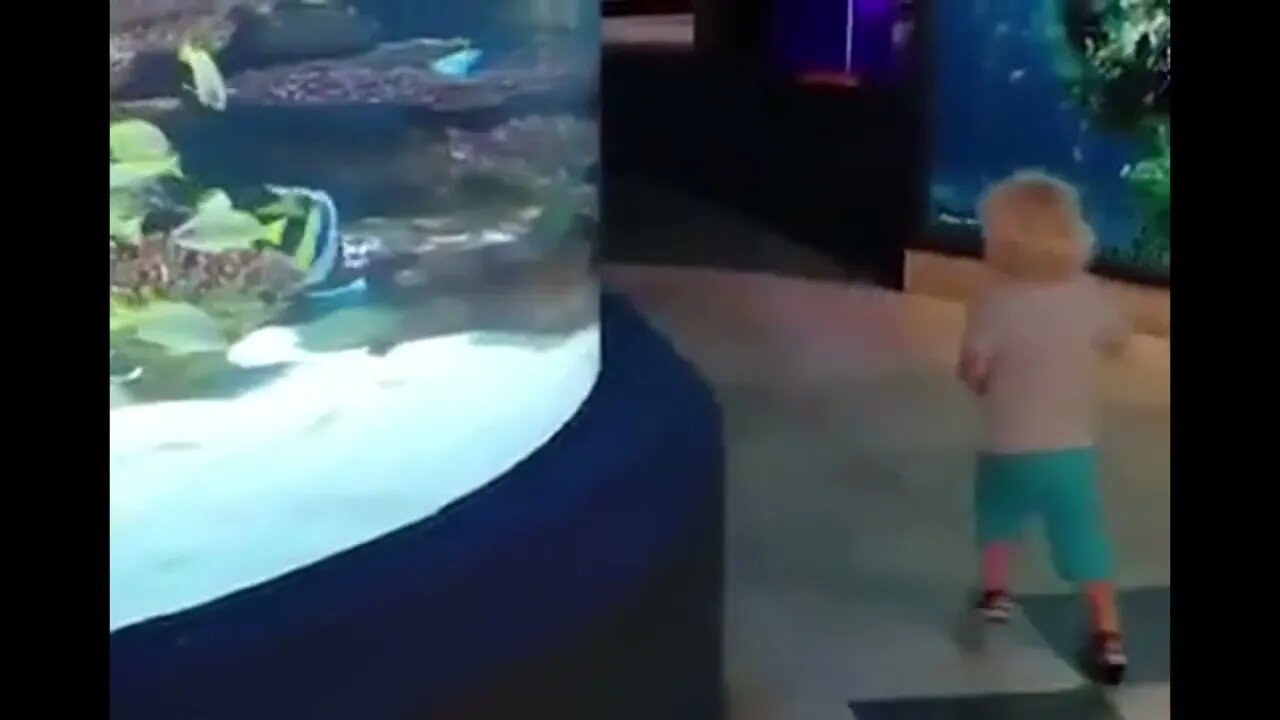 Looks like someone made a new friend