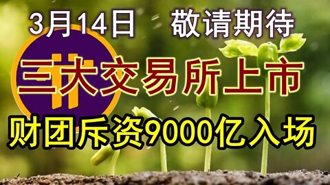 Pi network最新消息，3月14日开通部分先锋内转，上线部分应用，比特币大佬已经准备9000亿美金入场收购。