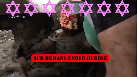 ►✡️ 🕍 🇮🇱❗️⚡ 🔴 Sub-Humans under Rubble 🔴✡️ 🕍 🇮🇱❗️⚡