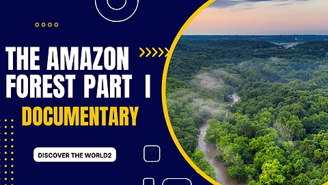 The Amazon Forest .