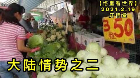 KWT1118大陆情势之二20210219-9【悟里看世界】