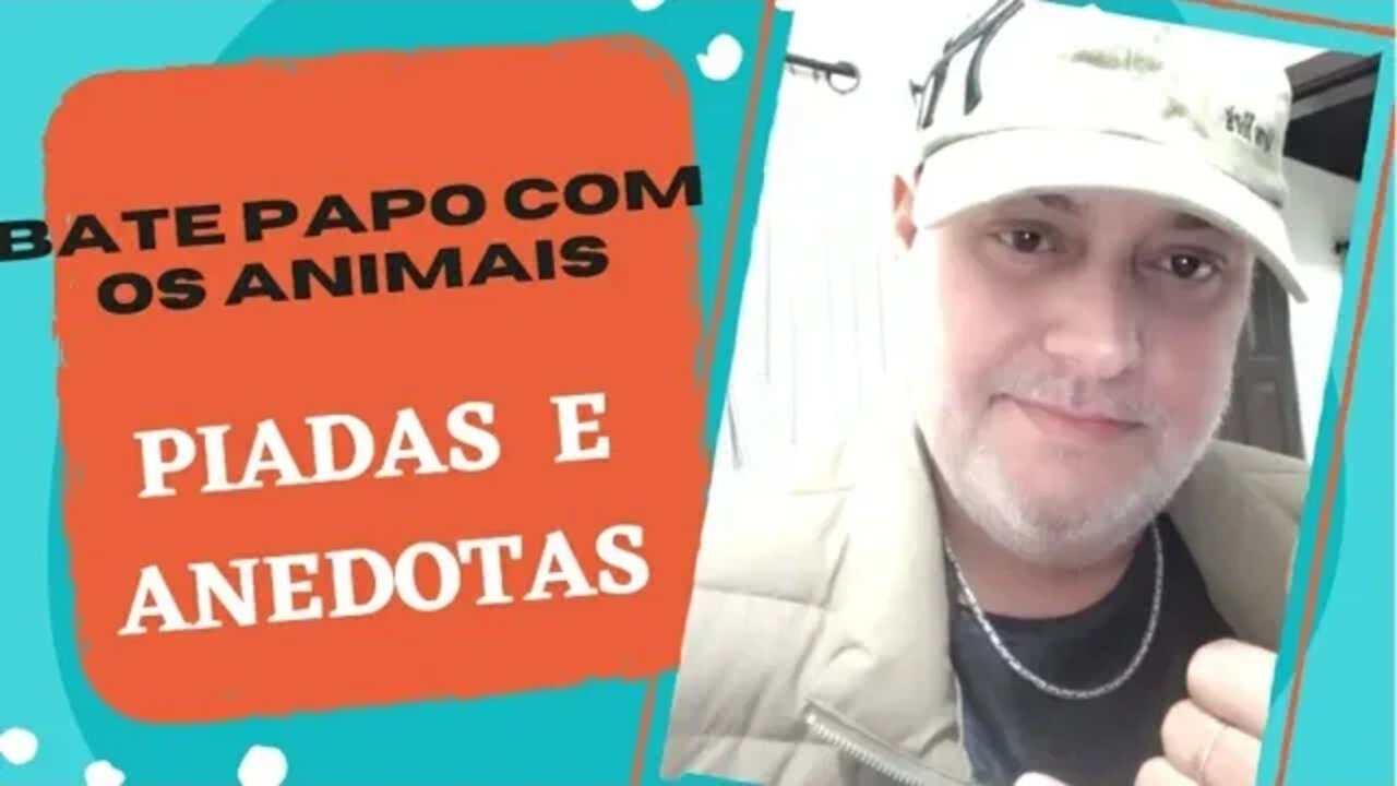 PIADAS - BATE PAPO COM ANIMAIS - INSCREVA-SE - #shorts