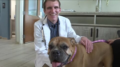 Tampa's poster pup for new cancer treatment