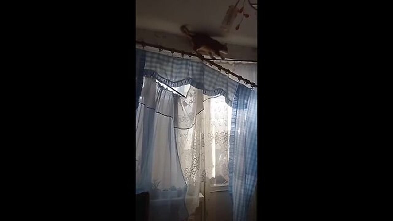 Badly hung 🙈 😂