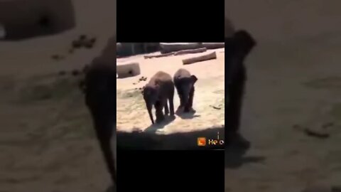 கிரீஸ் டப்பாவை எப்படி உதச்ச