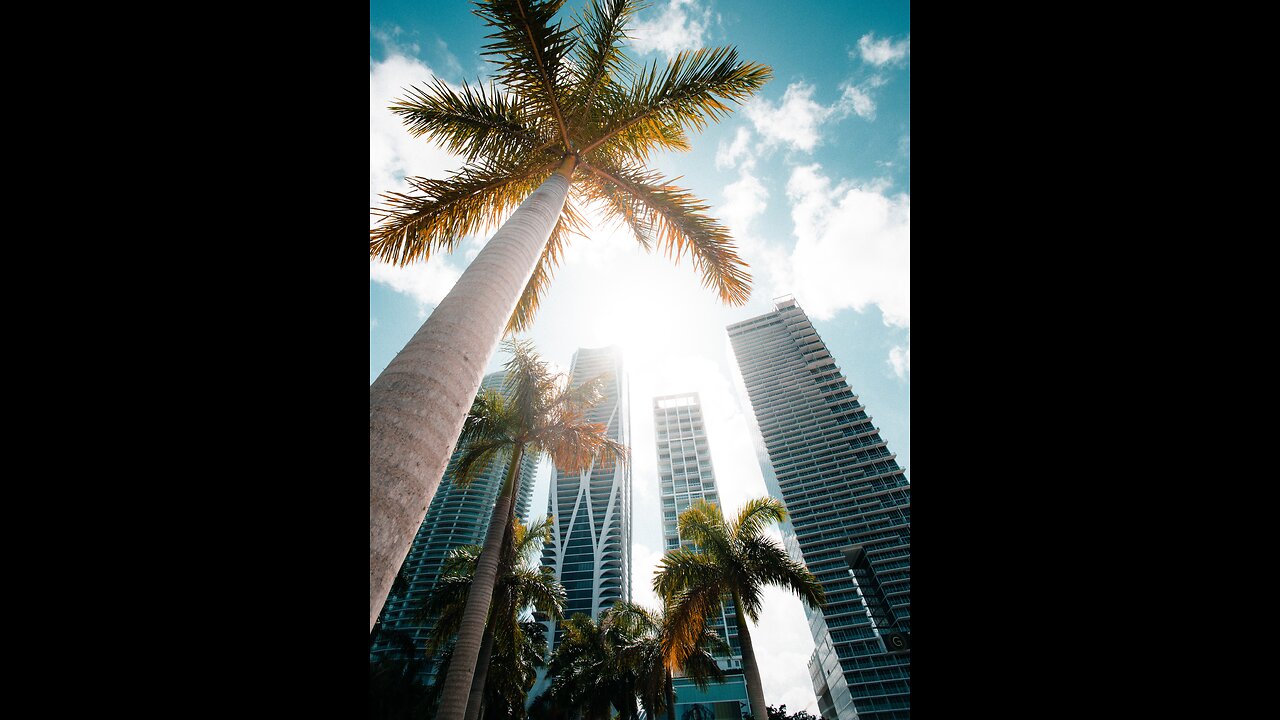 Doral, Miami- Evening Summer Walk!