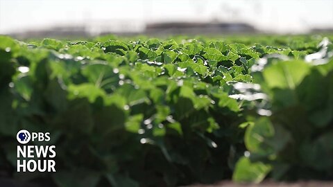 Arizona farmers forced to adapt as main water source dries up