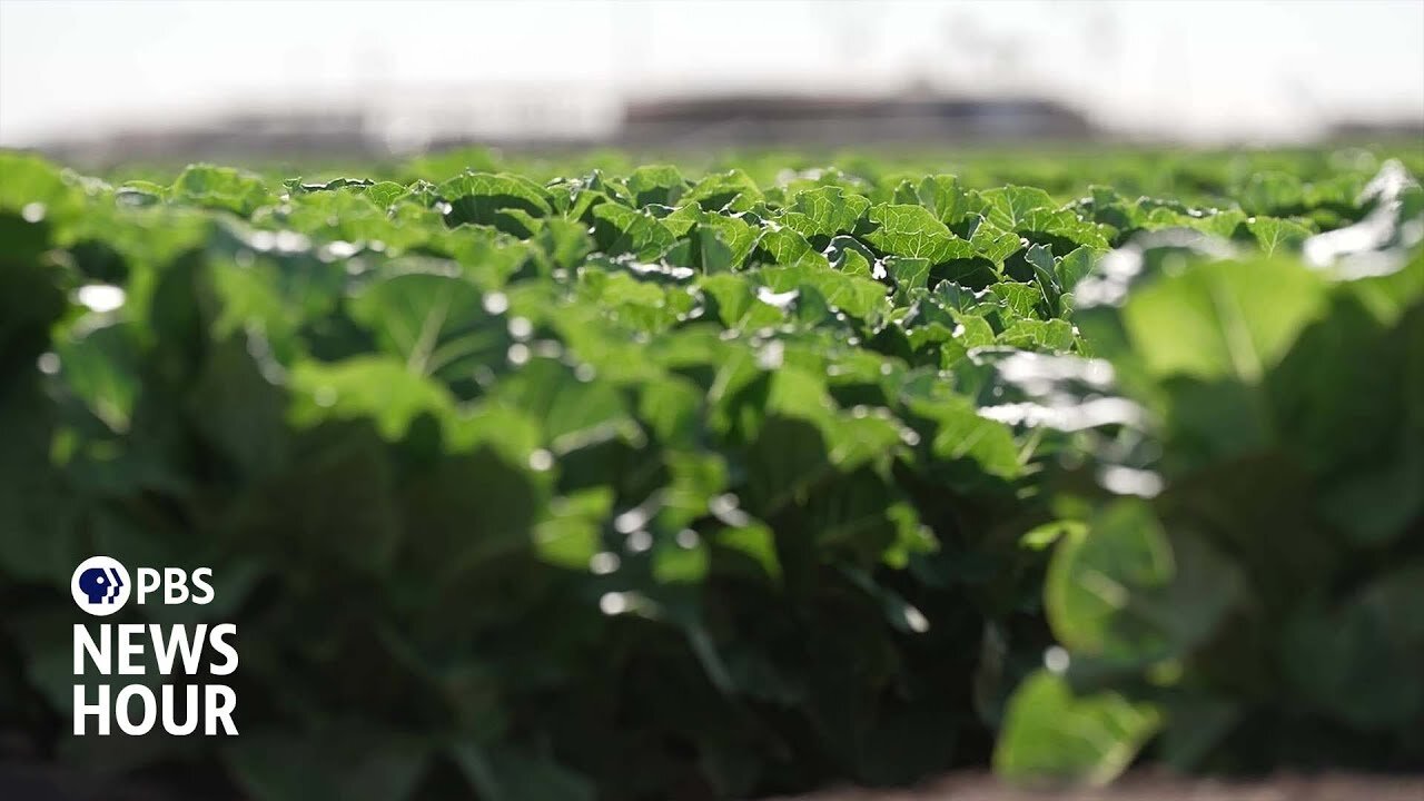 Arizona farmers forced to adapt as main water source dries up