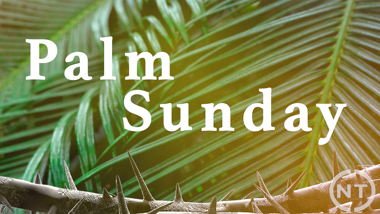 Palm Sunday - March 24, 2024