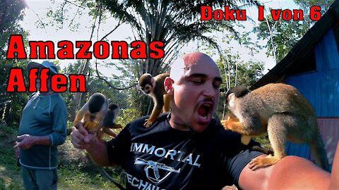 Affen des Amazonas (Monkey time) Doku 1 von 6