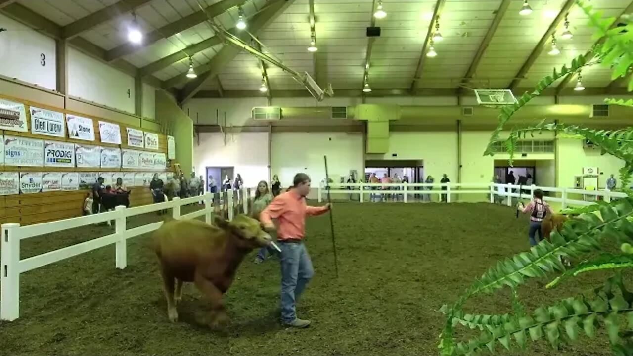 Preston County Livestock Association Presents the 1st Annual Appalachian Youth Livestock Showcase