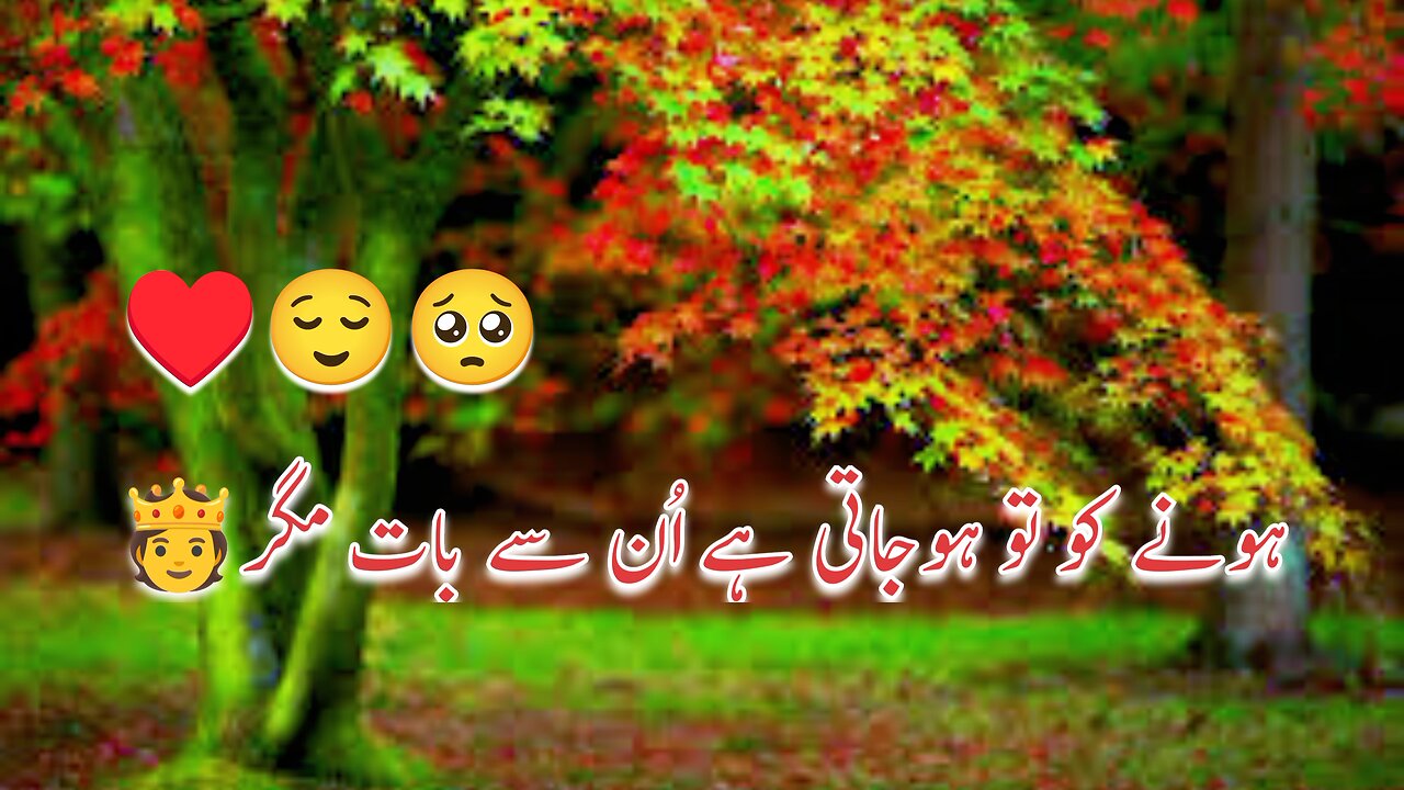 Urdu poetry (WhatsApp status) ZKvlogify786