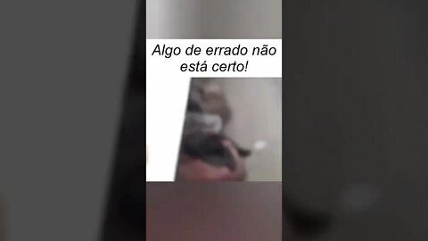 EU TENHO QUE PARAR DE BEBER E ARRUMAR ESSAS CONFUSAO MANE ( MEME ) ( VIRAL ) #shorts