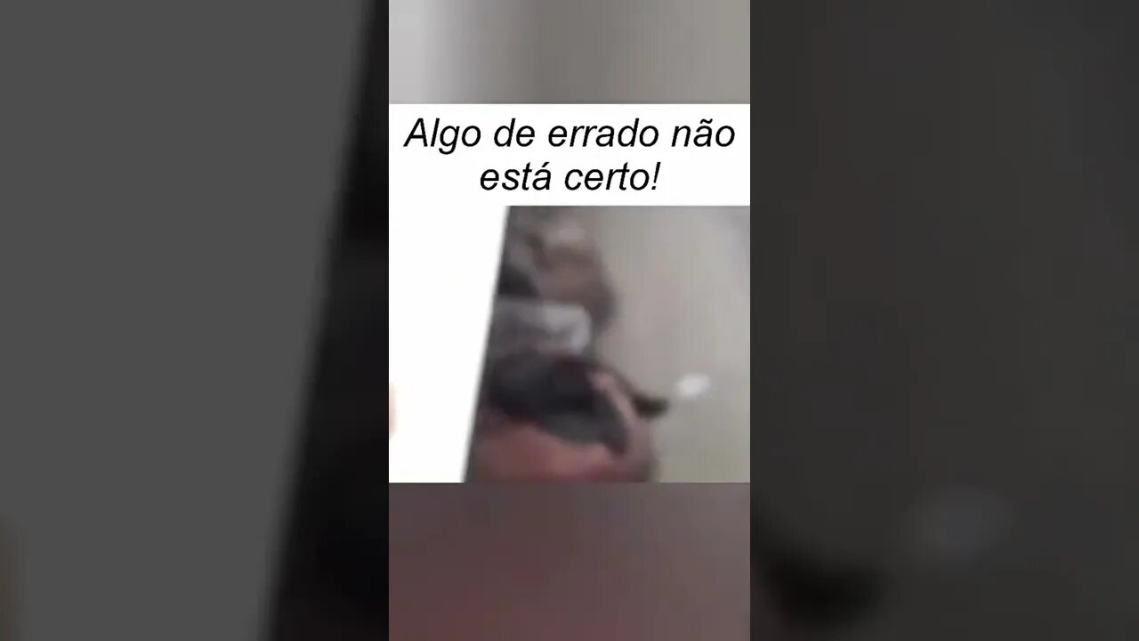EU TENHO QUE PARAR DE BEBER E ARRUMAR ESSAS CONFUSAO MANE ( MEME ) ( VIRAL ) #shorts
