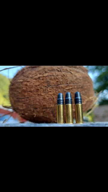 22LR for Self Defense? - Coconut Test #shorts