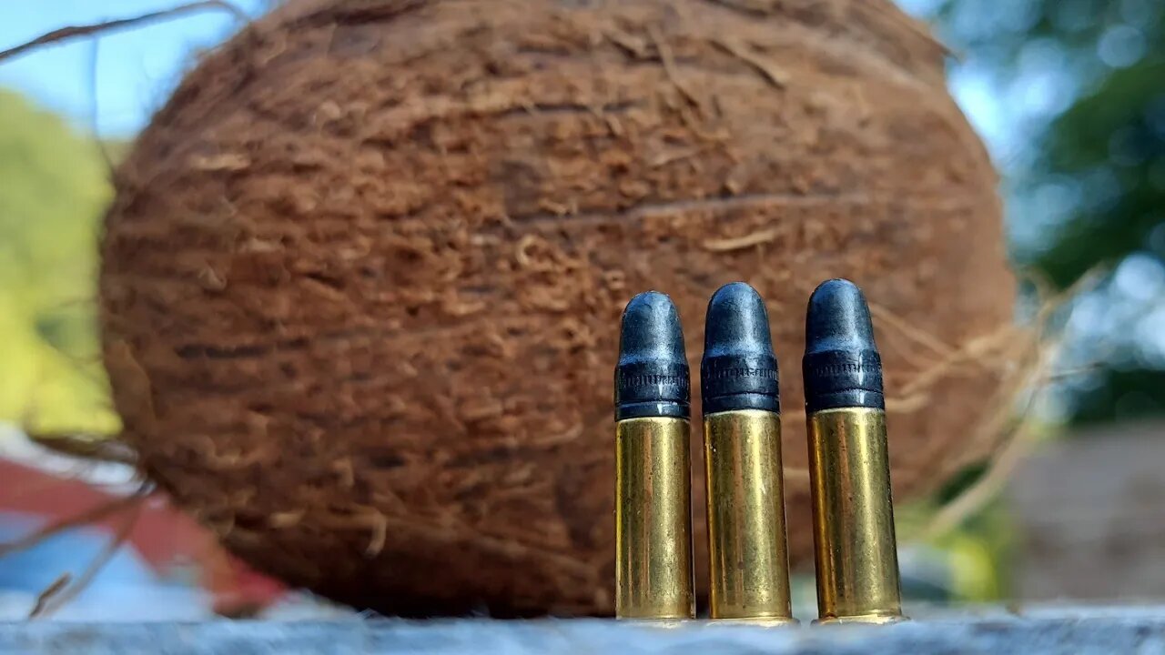 22LR for Self Defense? - Coconut Test #shorts