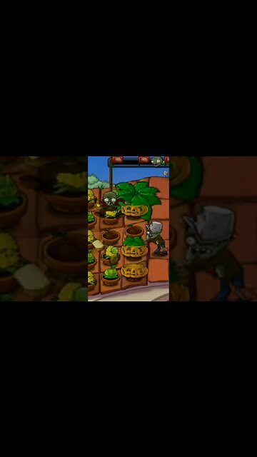 parachutist / paraquedista