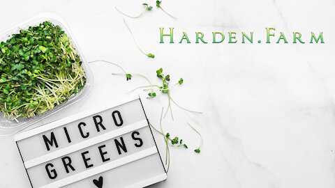 Harden Farms Microgreens