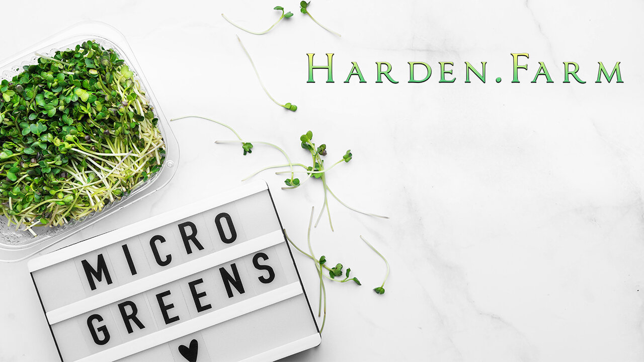 Harden Farms Microgreens