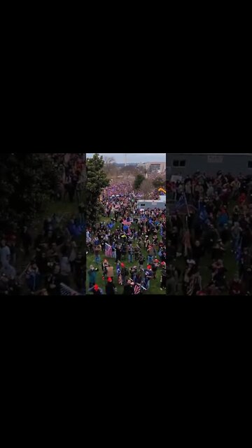 Trump Supporters Climb The Walls Of The US Capitol #shorts #uscapitol
