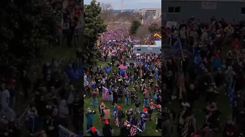 Trump Supporters Climb The Walls Of The US Capitol #shorts #uscapitol