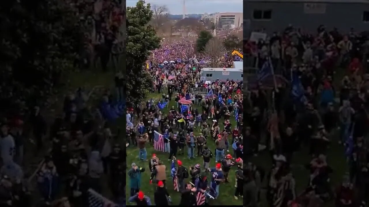 Trump Supporters Climb The Walls Of The US Capitol #shorts #uscapitol