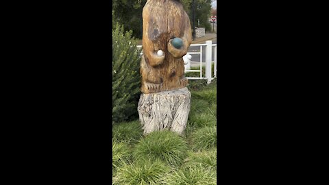 Bear Sculpture in Clayton