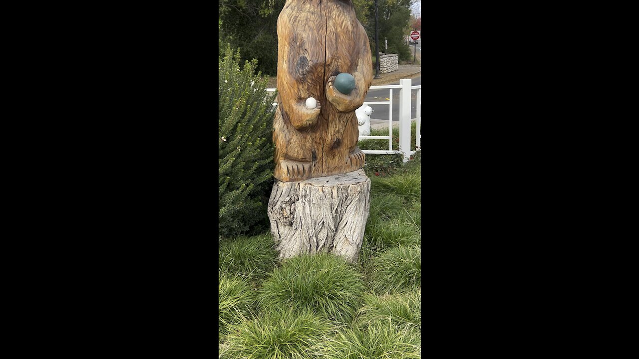Bear Sculpture in Clayton