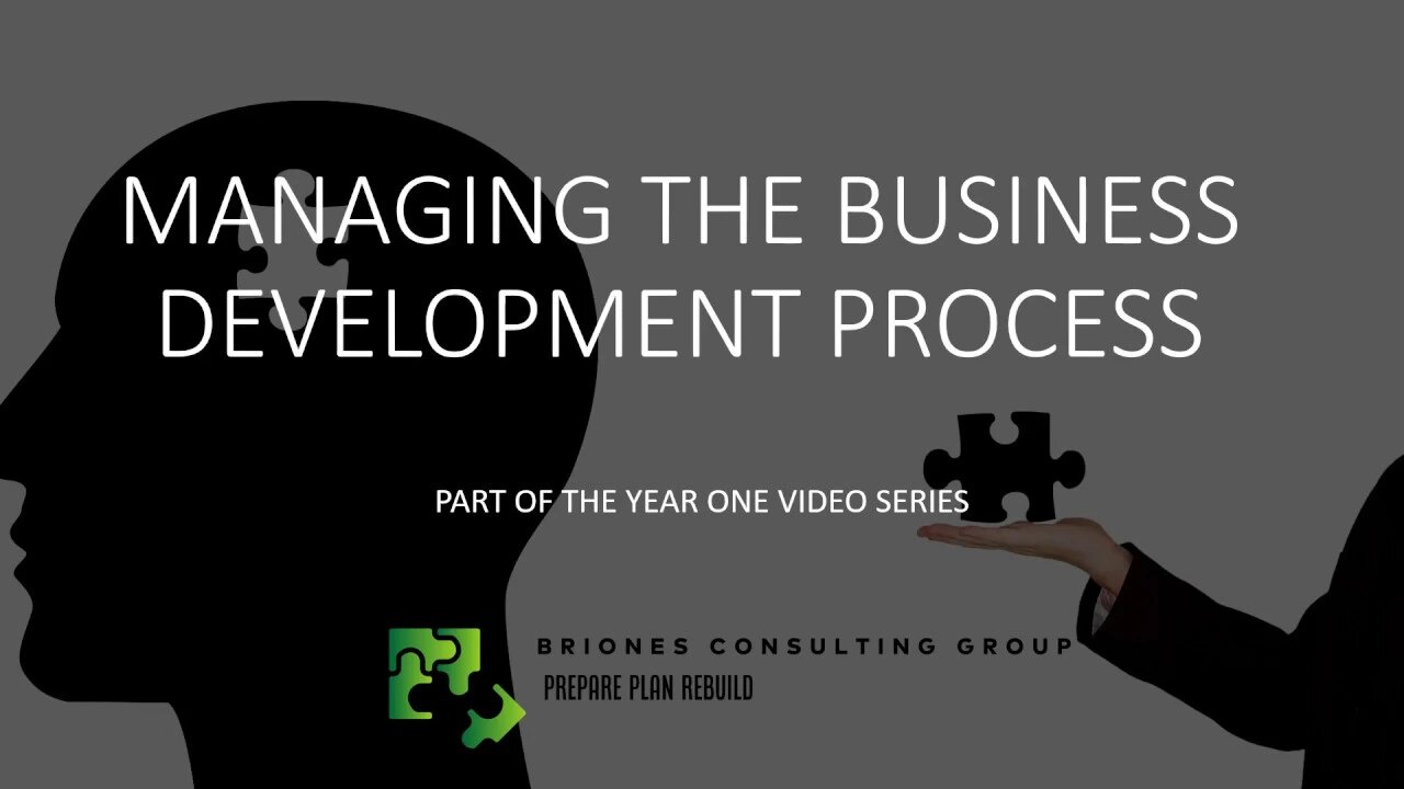 Managing the Business Development Process