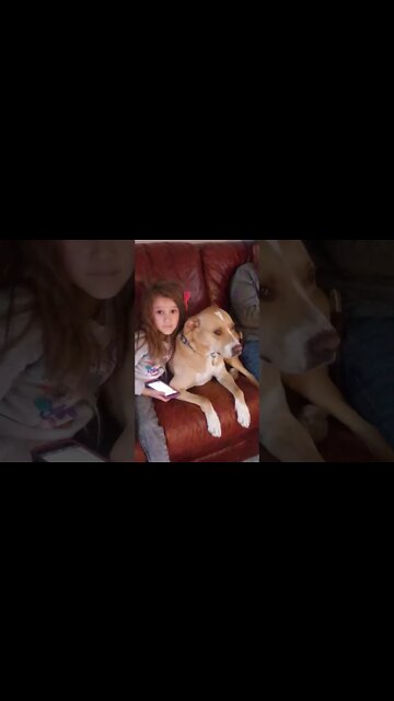 Bella & Gracie Mae Cuddling on the Couch, awwww how sweet!!