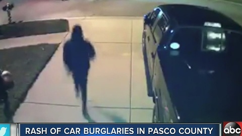 Rash of car burglaries in Pasco County, Deputies warning residents to lock cars