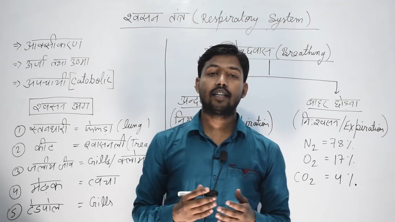 human respiratory system