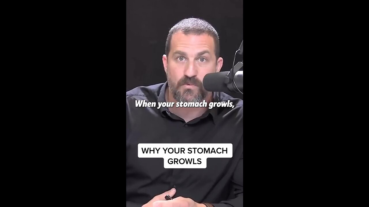 Dr. Huberman on why your stomach growls