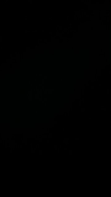 High school graduation