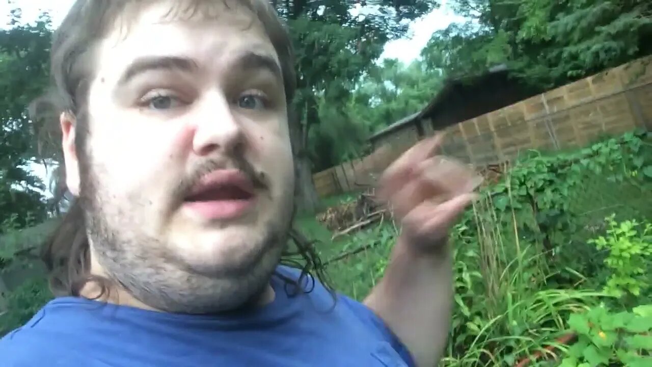 What my garden looks like today!